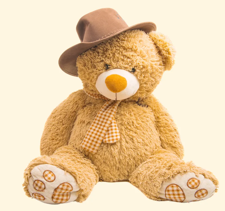 About Us brown teddy softtoy sitting
