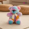 Rainbow Color Theme Teddy