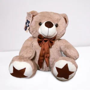 Star Teddy