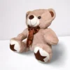 Star Teddy