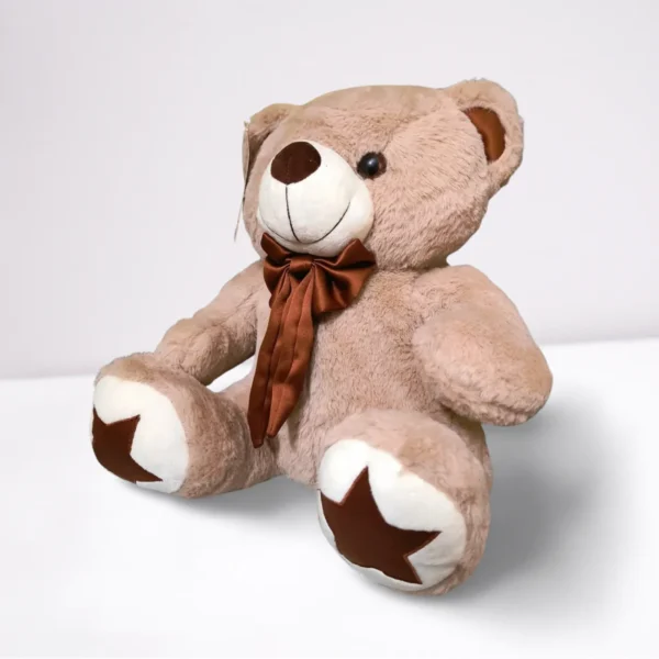 Star Teddy