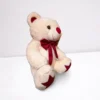 Star Teddy
