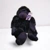 Chimpanzee