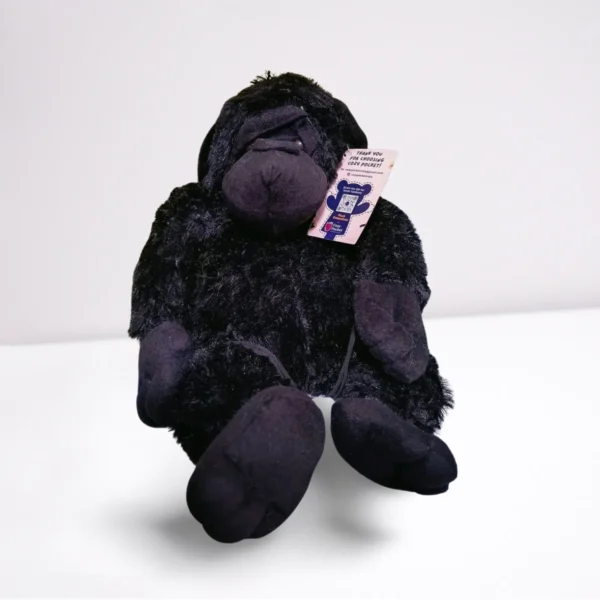Chimpanzee