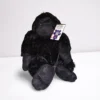 Chimpanzee
