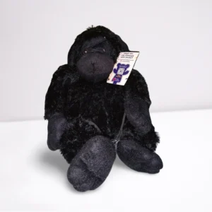 Chimpanzee
