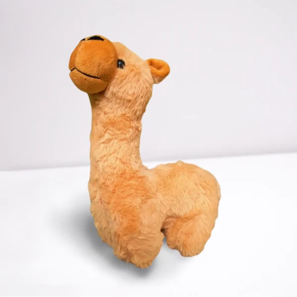 Alpaca