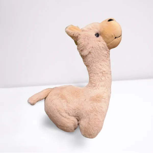 Alpaca