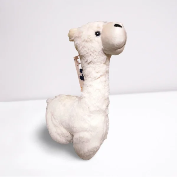 Alpaca