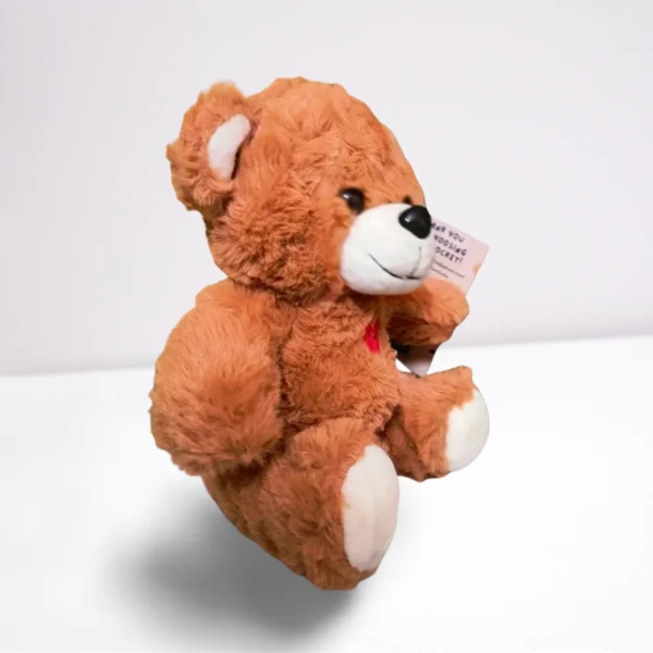 Small Teddy