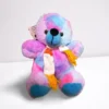 Rainbow Teddy