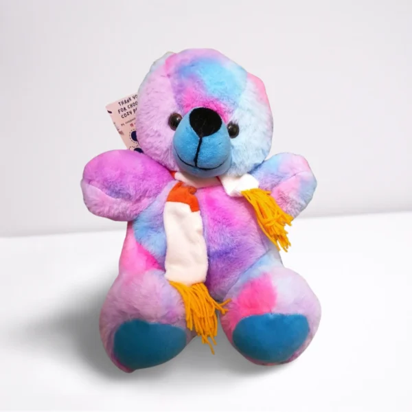Rainbow Teddy