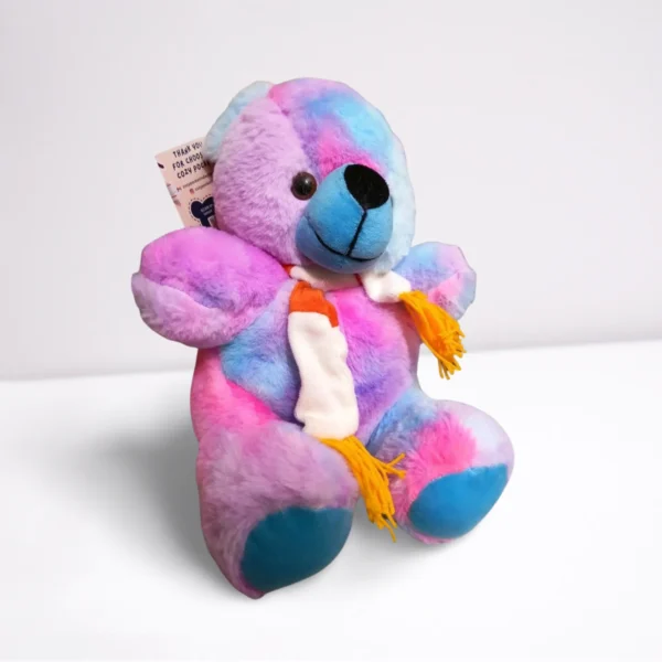 Rainbow Teddy