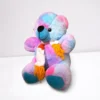 Rainbow Teddy