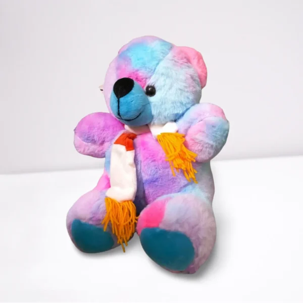 Rainbow Teddy