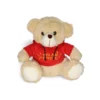 Hoody Teddy Combo
