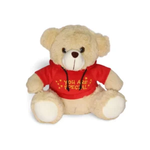 Hoody Teddy Combo