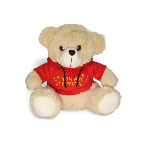 Hoody Teddy Combo