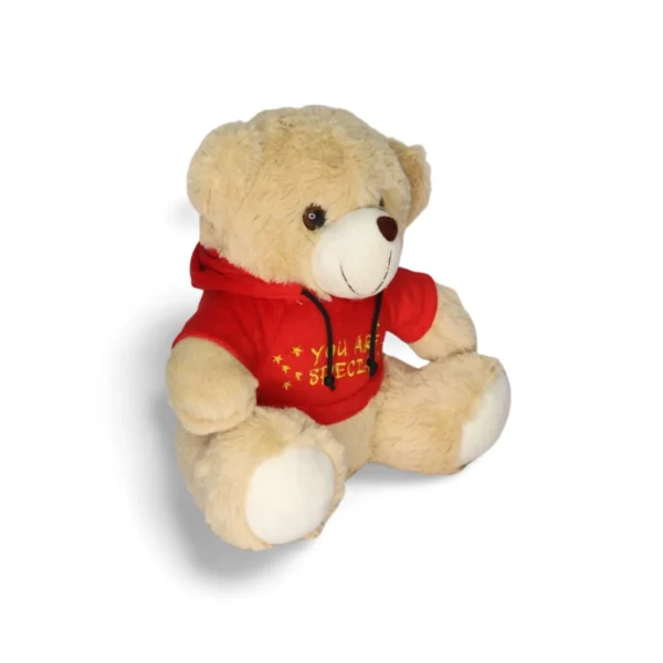 Hoody Teddy Combo