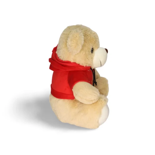 Hoody Teddy Combo