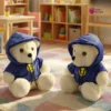 Hoody Teddy Combo