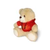 Hoody Teddy Combo