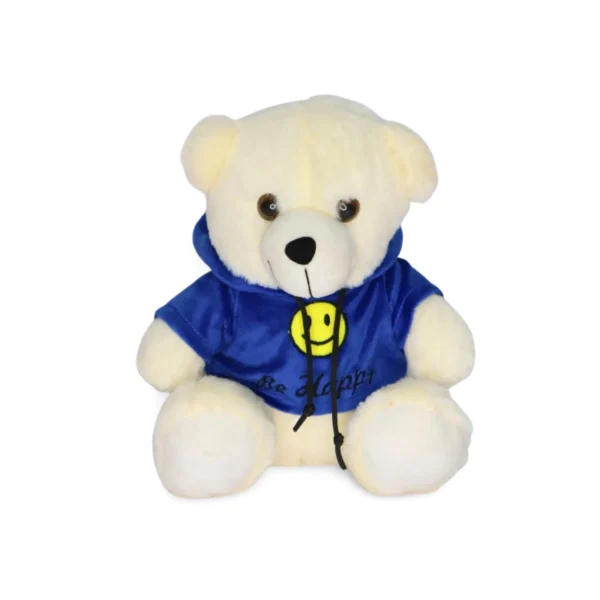 Hoody Teddy Combo