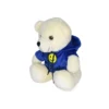 Hoody Teddy Combo