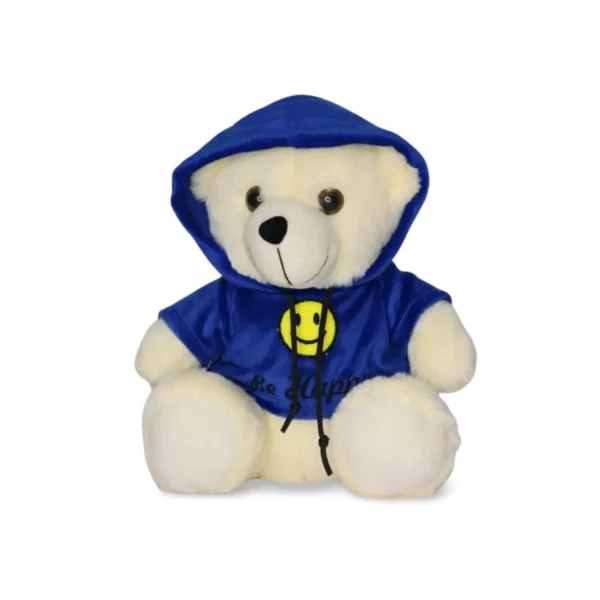 Hoody Teddy Combo