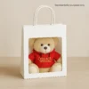 Hoody Teddy Combo