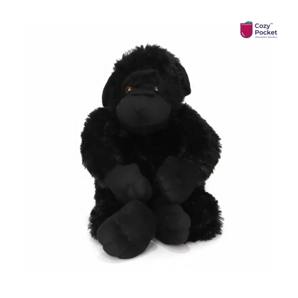 Chimpanzee