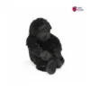 Chimpanzee