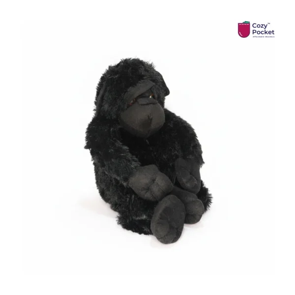 Chimpanzee