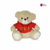Valentines Teddy Combo