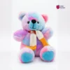 Rainbow Teddy