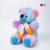 Rainbow Teddy