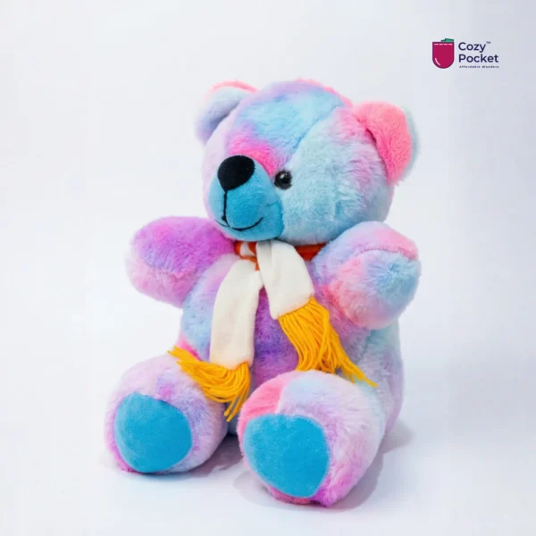 Rainbow Teddy