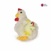 Hen