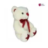 Star Teddy