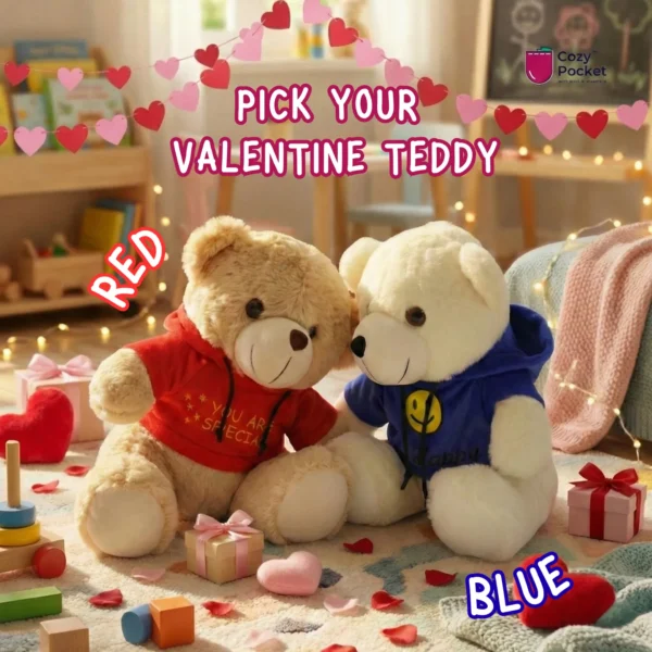 Valentine Hoody Teddy